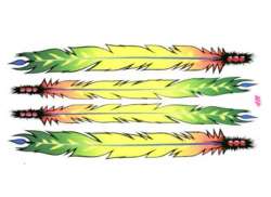 HBS Bicicletta Adesivo Feathers - Multi Colore